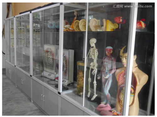 科普展览仿真模型
