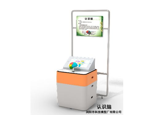 32认识脑
